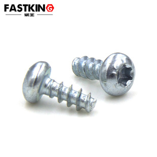 torx pan head self tapping screw with flat tail