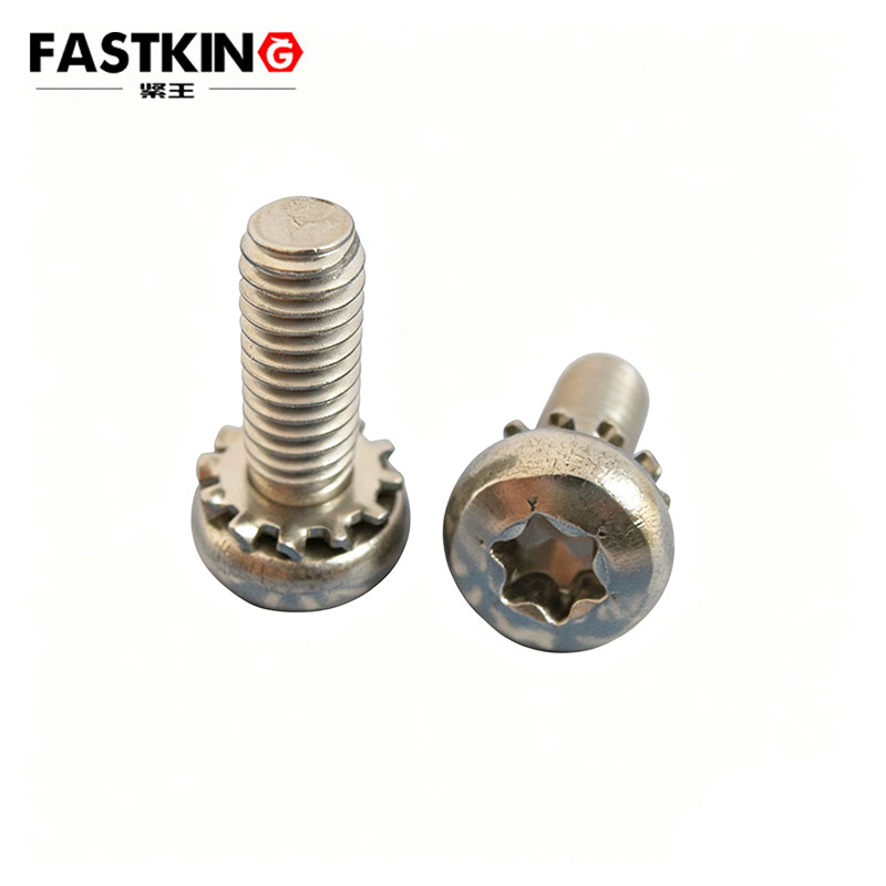 Stainless Steel Torx Sems Screw with External Tooth Washer